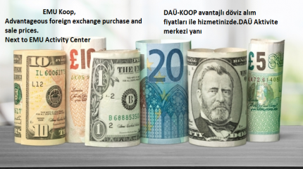 Döviz Alım Satım